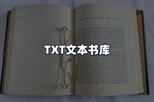 TXT文本书库